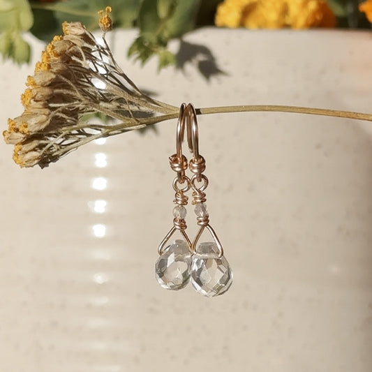 Labradorite Gemstone and Crystal Briolette / 14k Gold Filled Drop Earrings